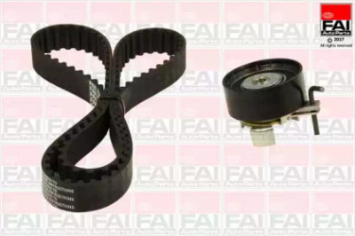 FAI AUTOPARTS tbk549 -  Комплект ремня ГРМ